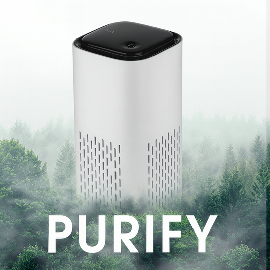 Purify A1